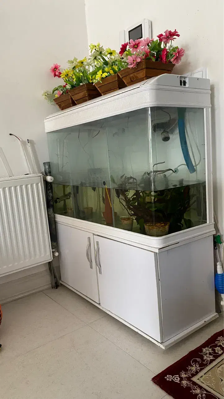 آکواریوم کامل شرکتی|ماهی|شیراز, شریف‌آباد|دیوار