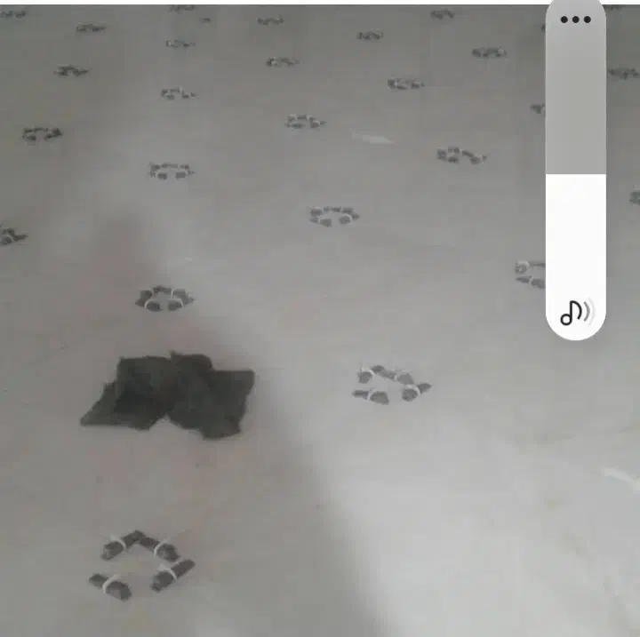 کاشی‌کاری|خدمات پیشه و مهارت|قره پشتلو, |دیوار