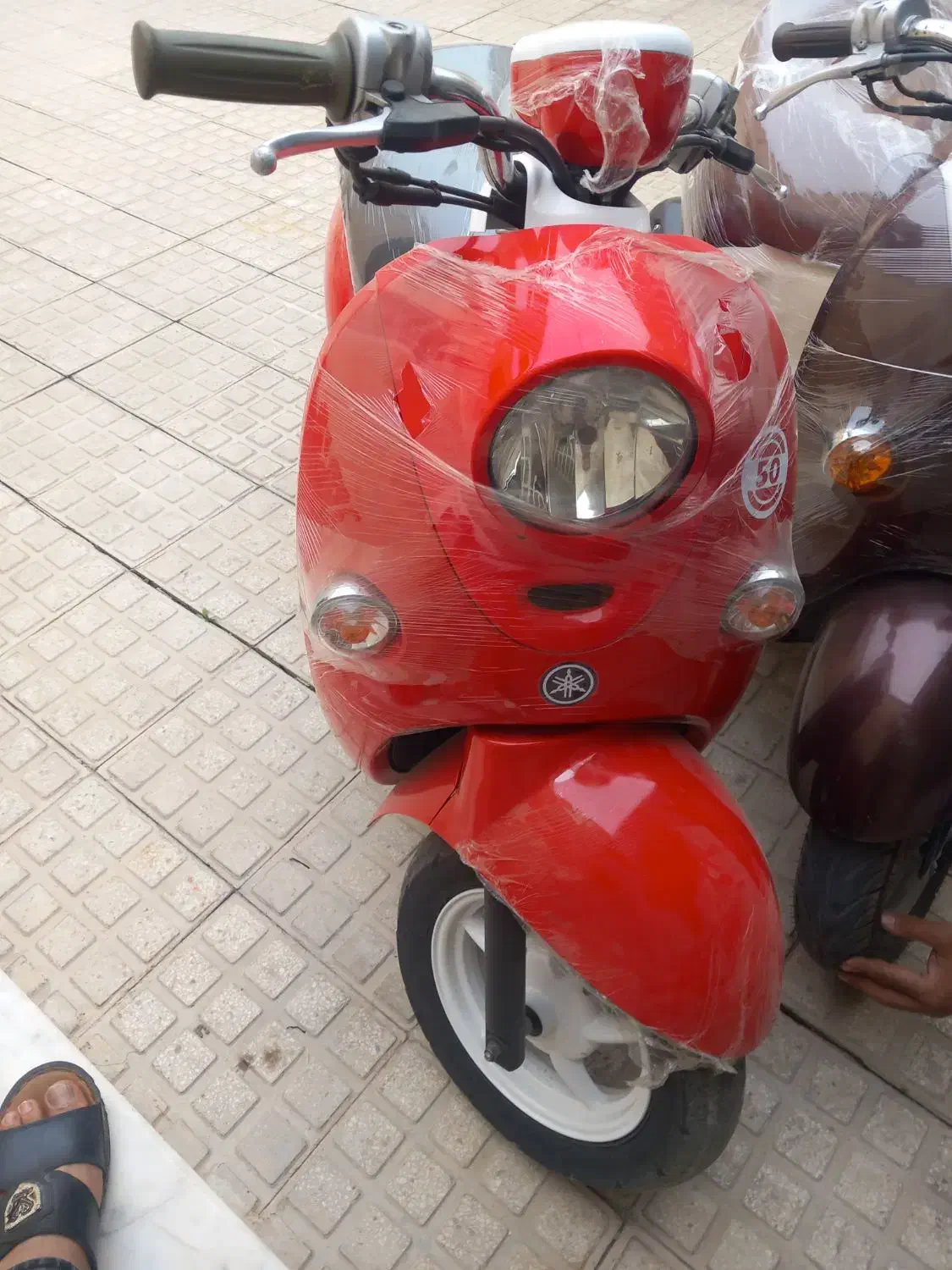 پاکشتی یاماها وینو کوار|موتورسیکلت|شیراز, دودمان|دیوار