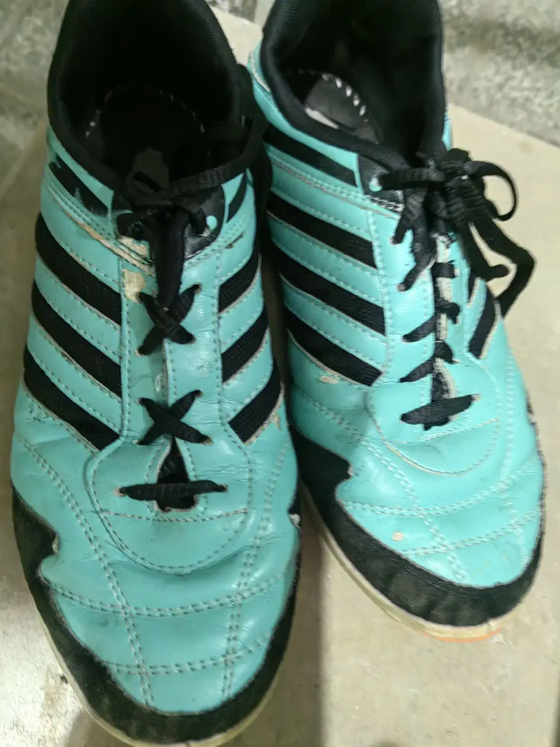 کفش|ورزشهای توپی|کرمان, |دیوار