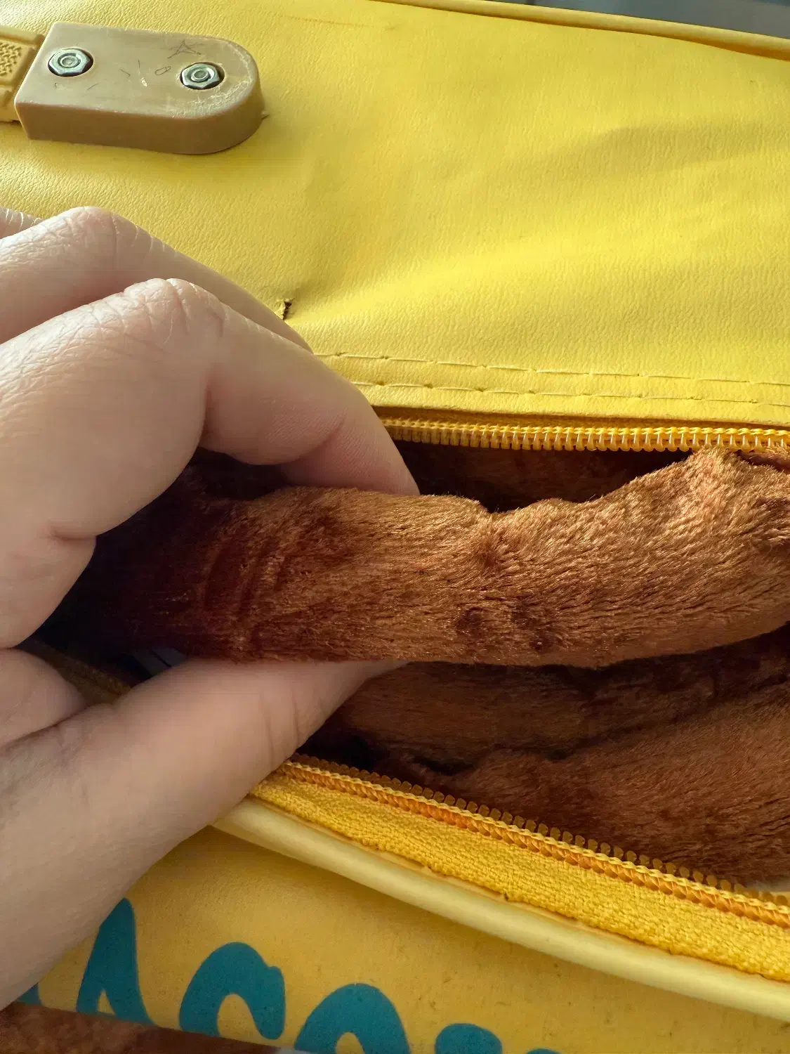 پتو|رختخواب، بالش، پتو|خرمآباد, |دیوار