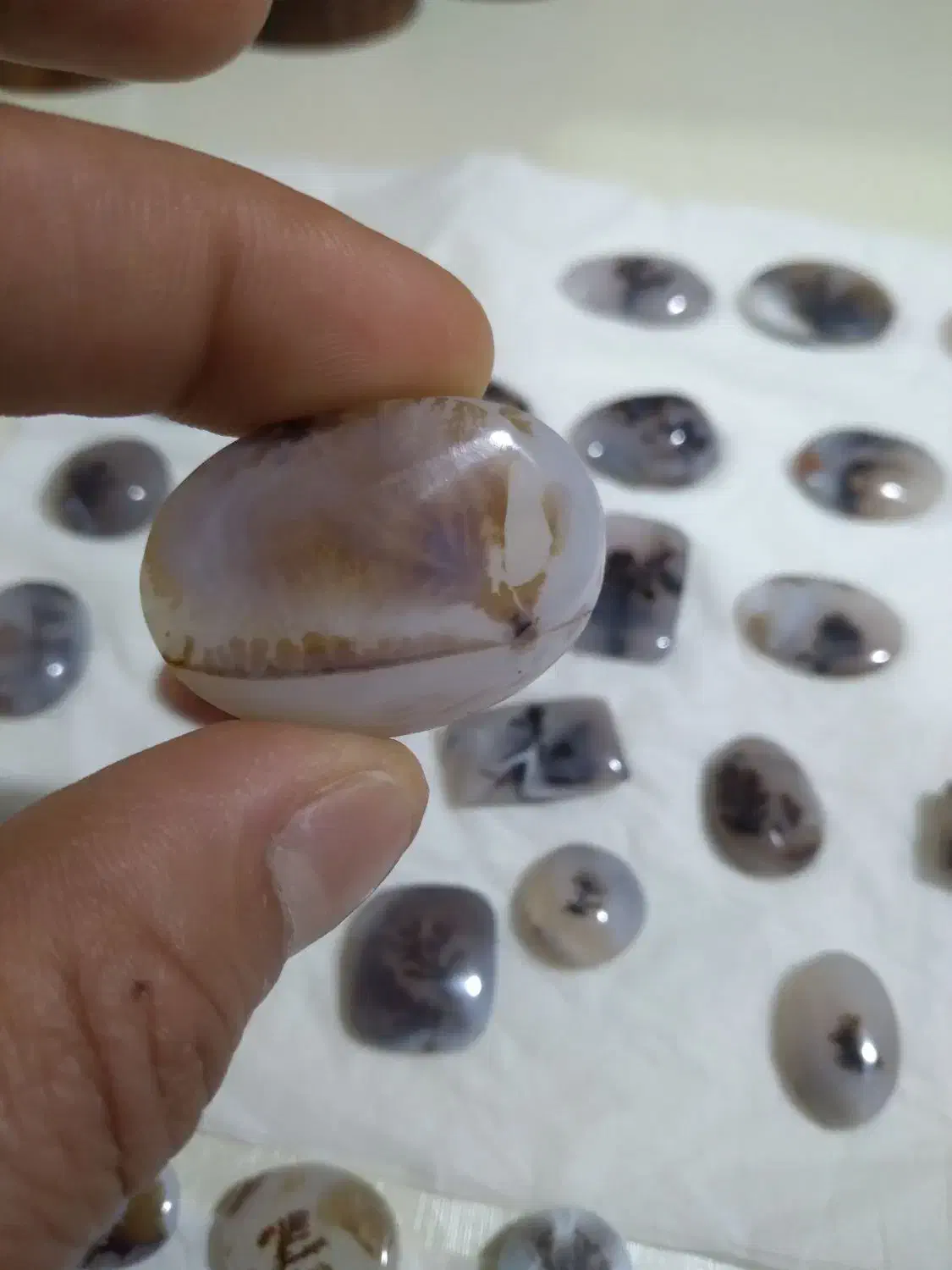 سنگ شجر قاین بی نظیر تک درخت سوزنی|جواهرات|مشهد, ثامن|دیوار