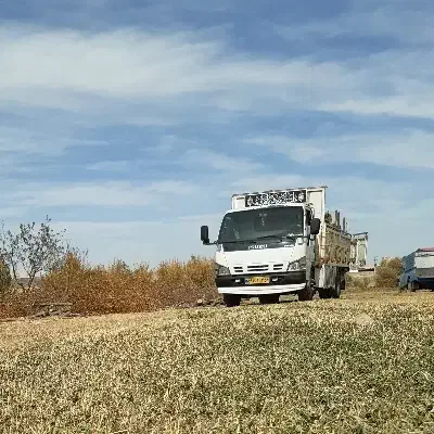 ایسوزو۶تن بی رنگ|خودرو سنگین|کرفتو, |دیوار