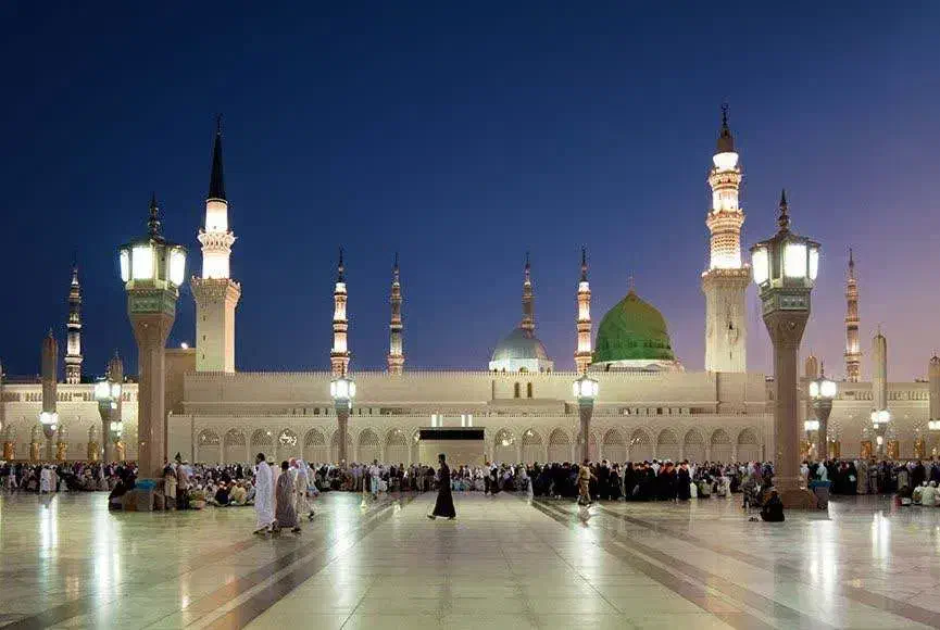 فیش عمره|تور و چارتر|مشهد, کوی راد|دیوار