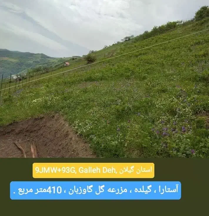 فروش مزرعه گل گاوزبان در گیلده گردنه حیران.|فروش زمین و ملک کلنگی|آستارا, |دیوار