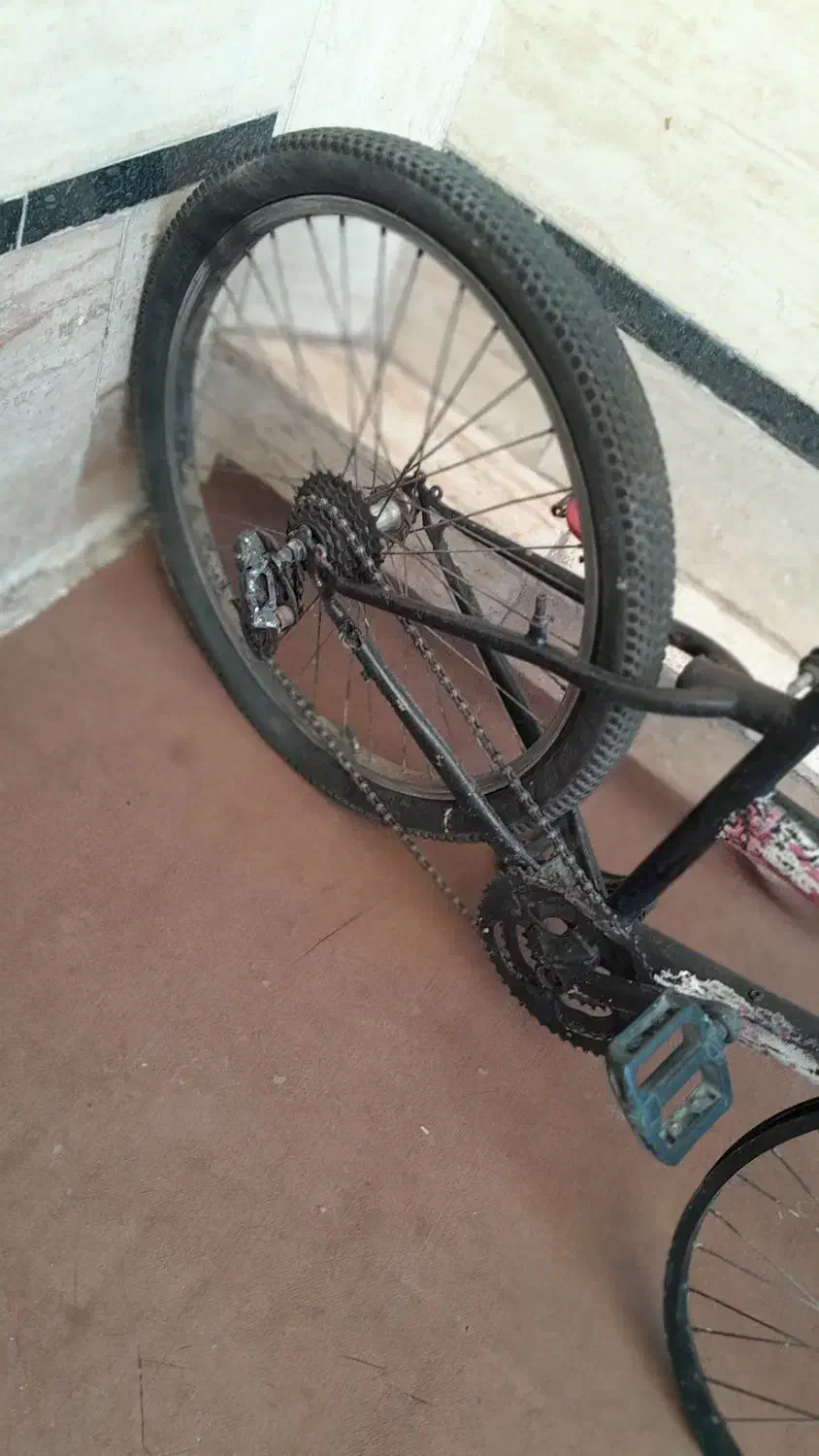 دوچرخه ۲۴|دوچرخه، اسکیت، اسکوتر|الوند, |دیوار