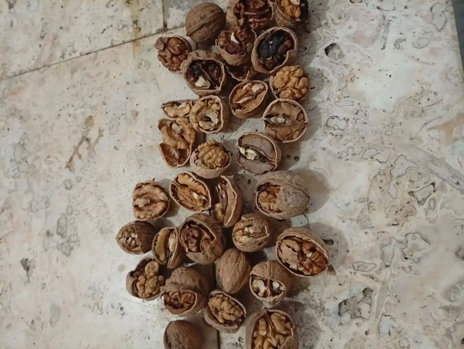 گردوی فروشی|عمده‌فروشی|آذرشهر, |دیوار