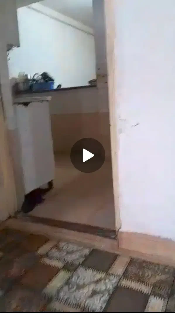 فروش خانه|فروش خانه و ویلا|رشت, رودباری|دیوار