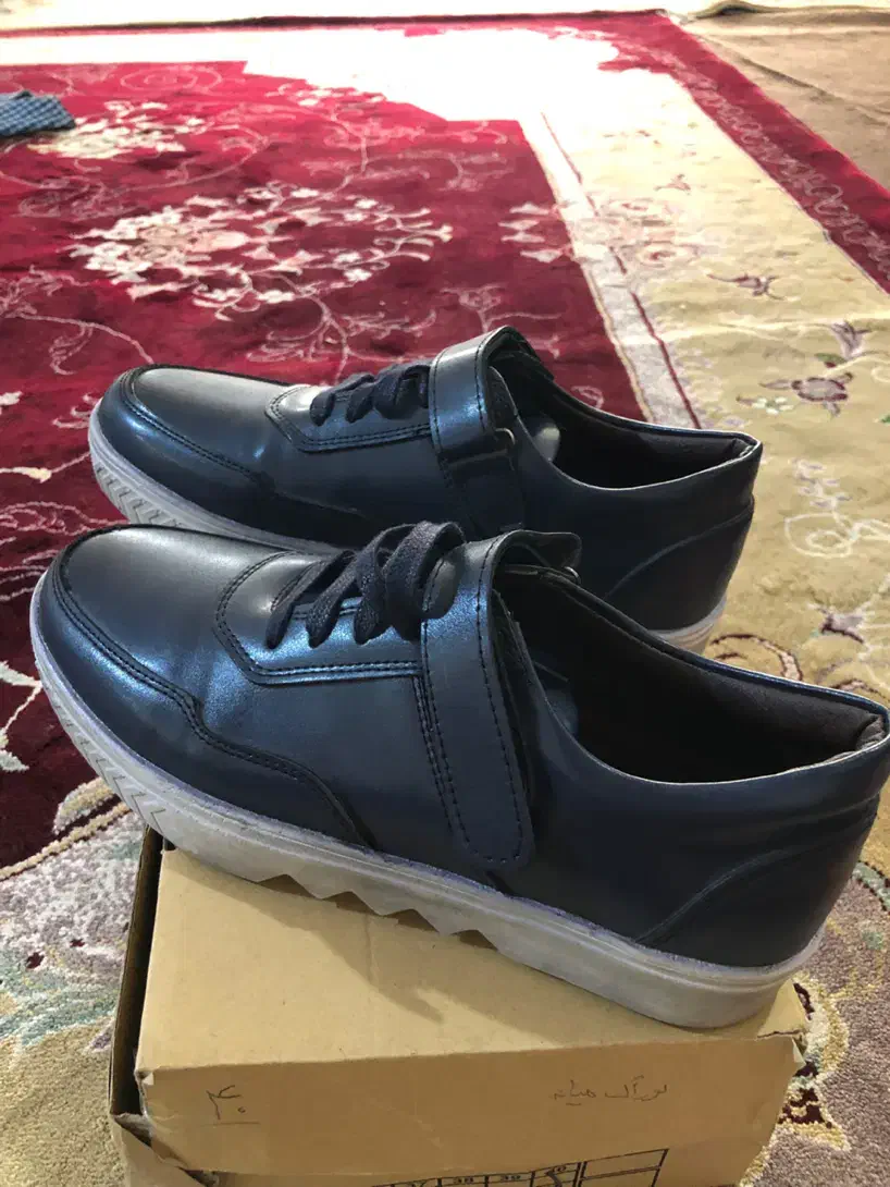 کفش|کیف، کفش، کمربند|کرج, مصباح|دیوار