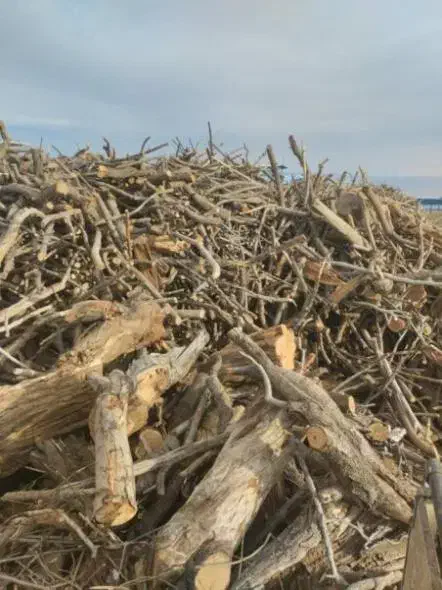 خریدار چوب میوه|خدمات باغبانی و درختکاری|تاکستان, |دیوار