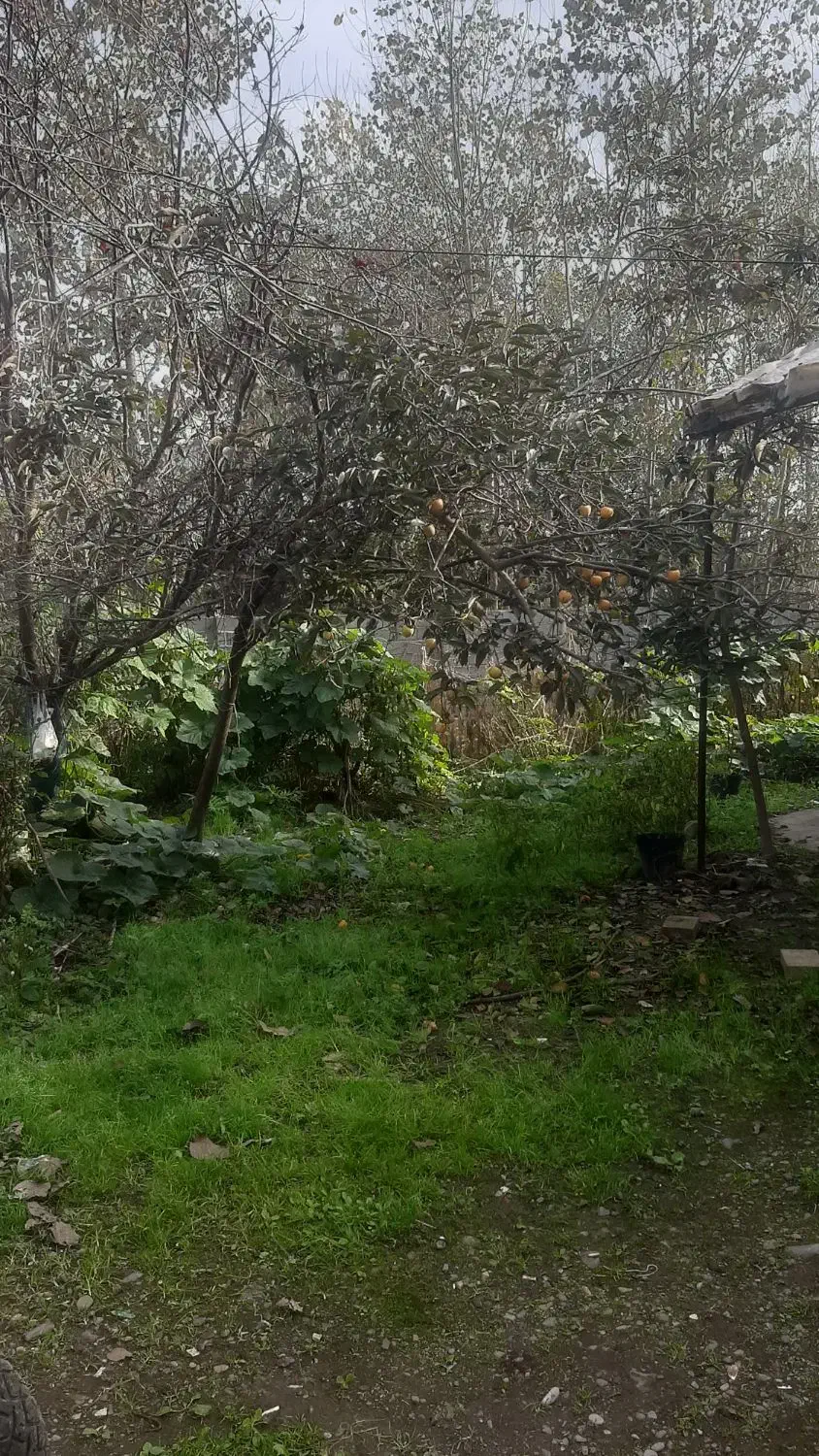 خانه روستایی|فروش خانه و ویلا|رودبنه, |دیوار