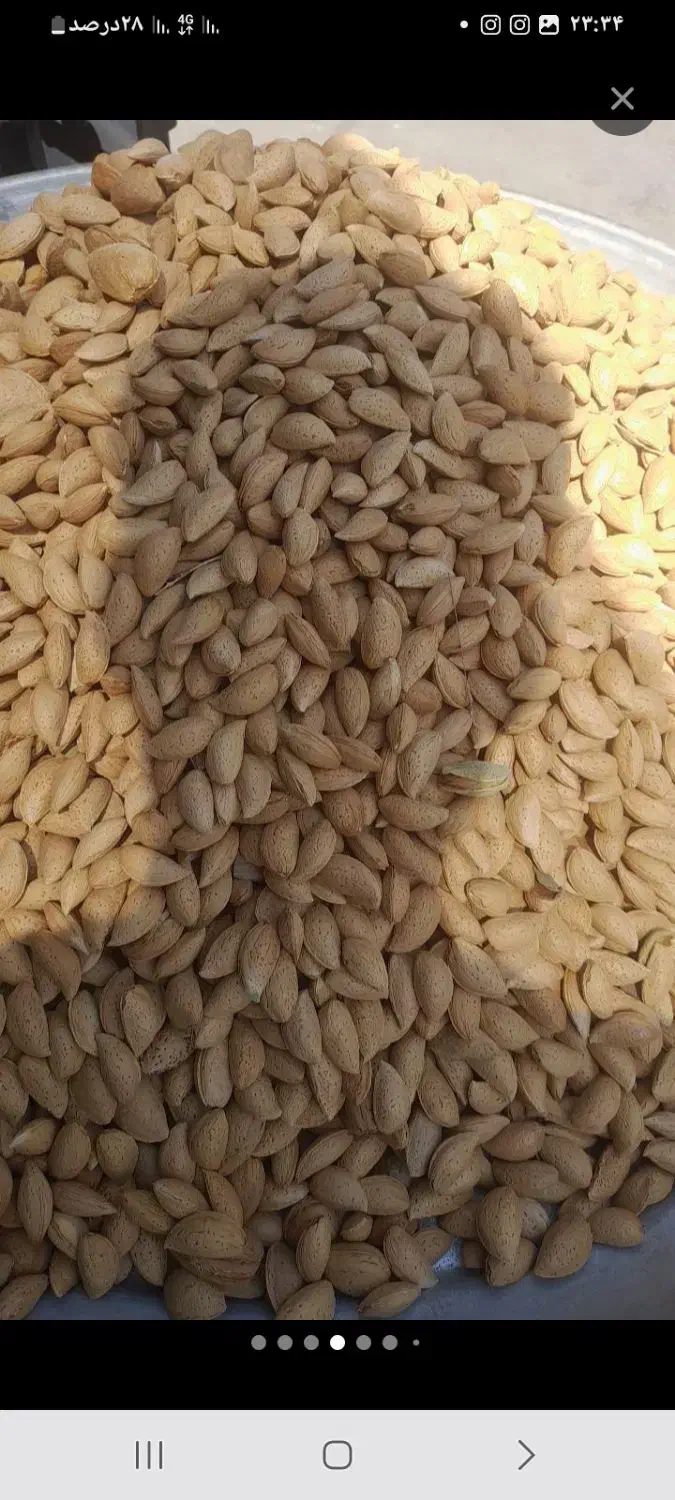 گردو وبادام سامان لوکس|خوردنی و آشامیدنی|اصفهان, شهرک امام خمینی|دیوار