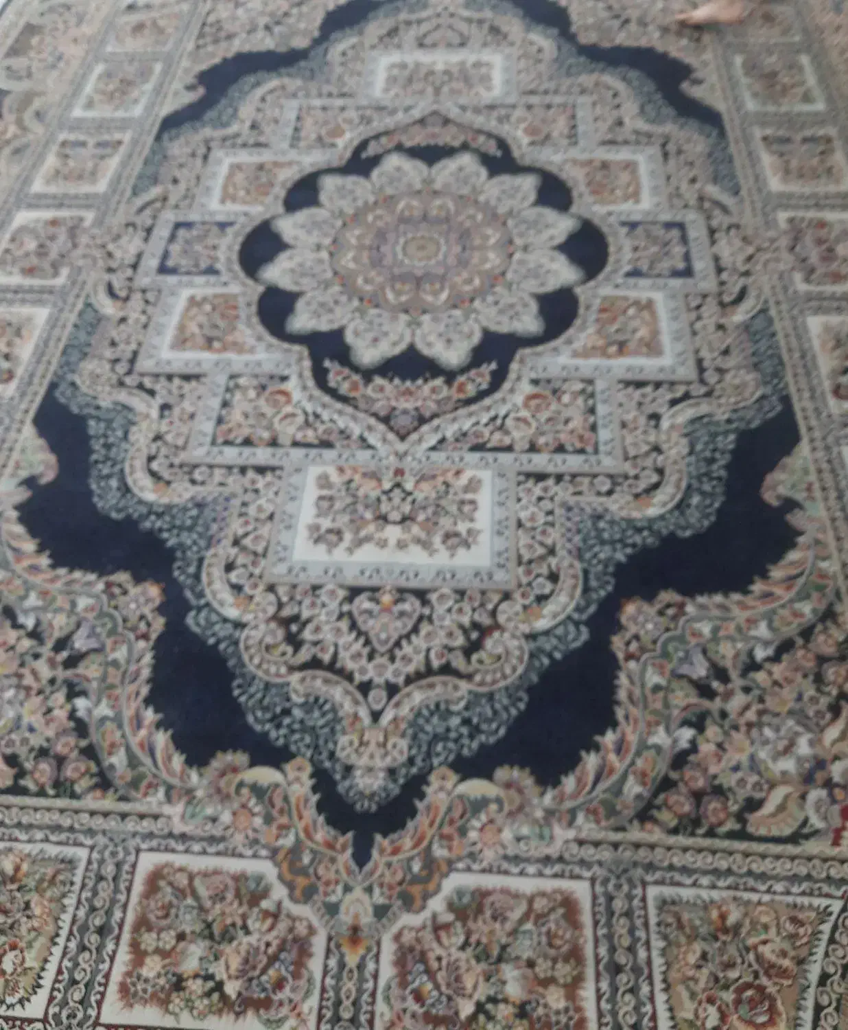 قالی ۷۰۰ شانه نو|فرش|شیروان (خراسان), |دیوار