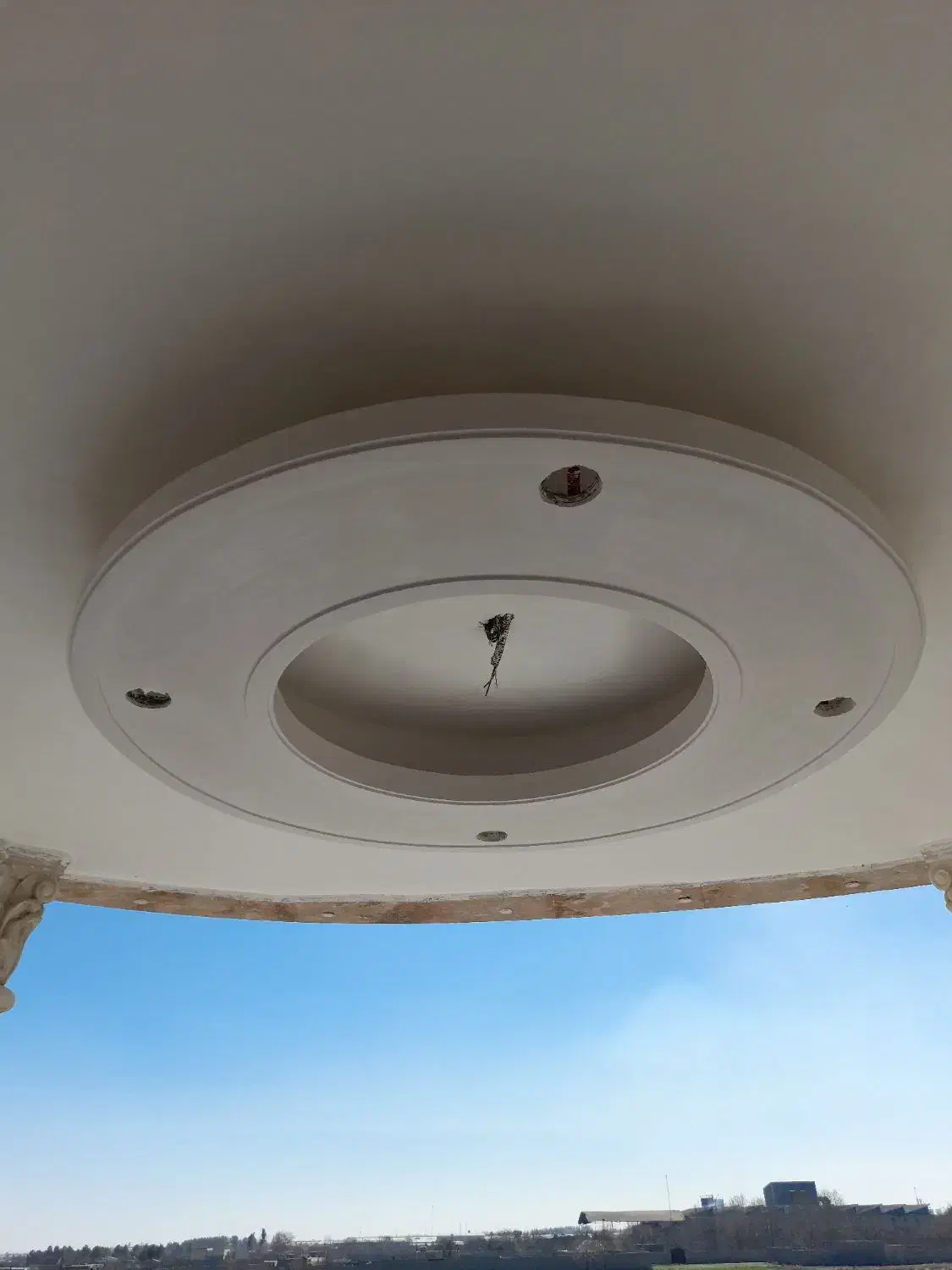 گچکاری و لکه گیری|خدمات پیشه و مهارت|گلبهار, شهر جدید گلبهار|دیوار