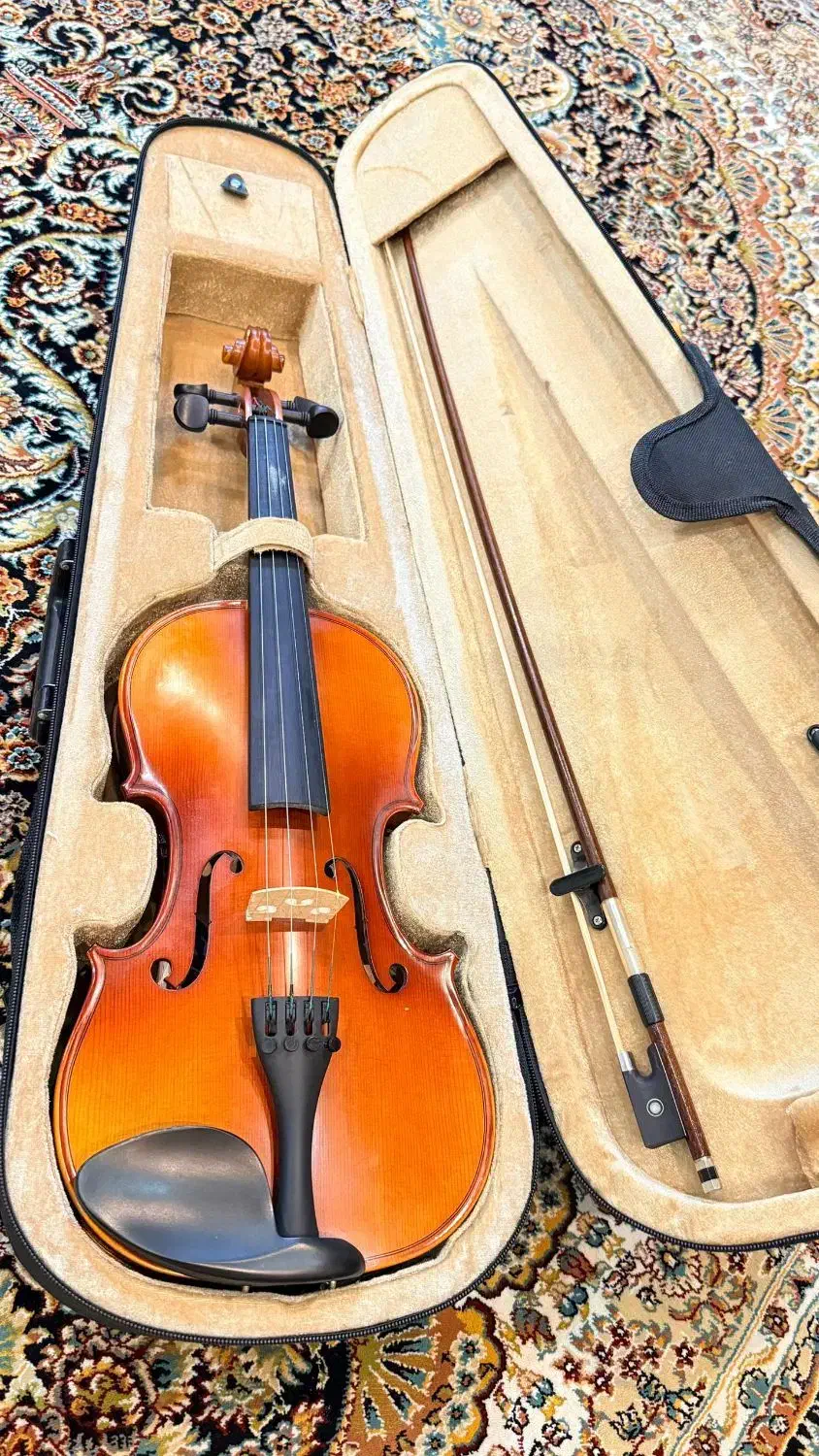 فروش ویالون|ویولن|بوشهر, |دیوار