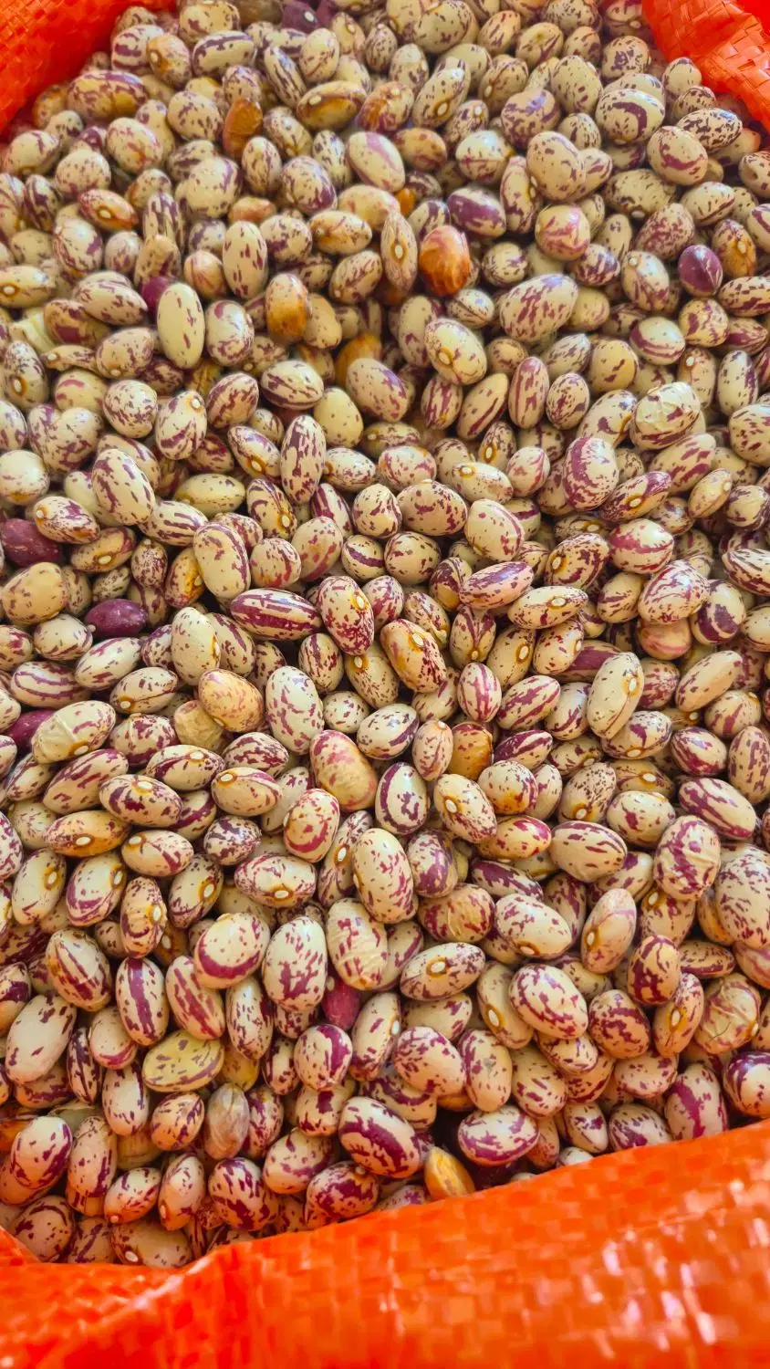 لوبیا چیتی|خوردنی و آشامیدنی|نیر (اردبیل), |دیوار