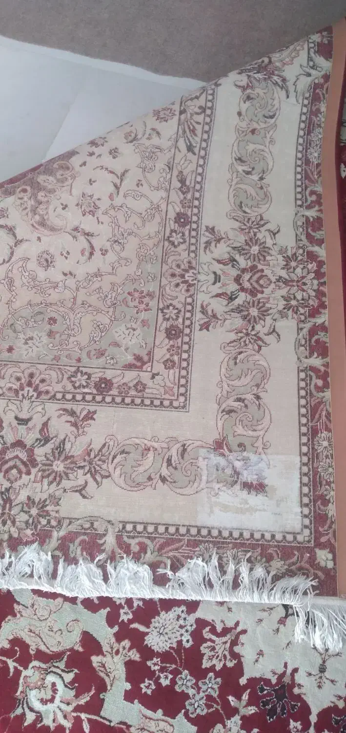 فرش|فرش|گلپایگان, |دیوار