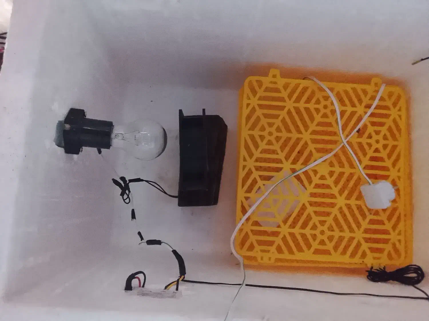 دستگاه جوجه کشی|لوازم جانبی حیوانات|آق قلا, |دیوار