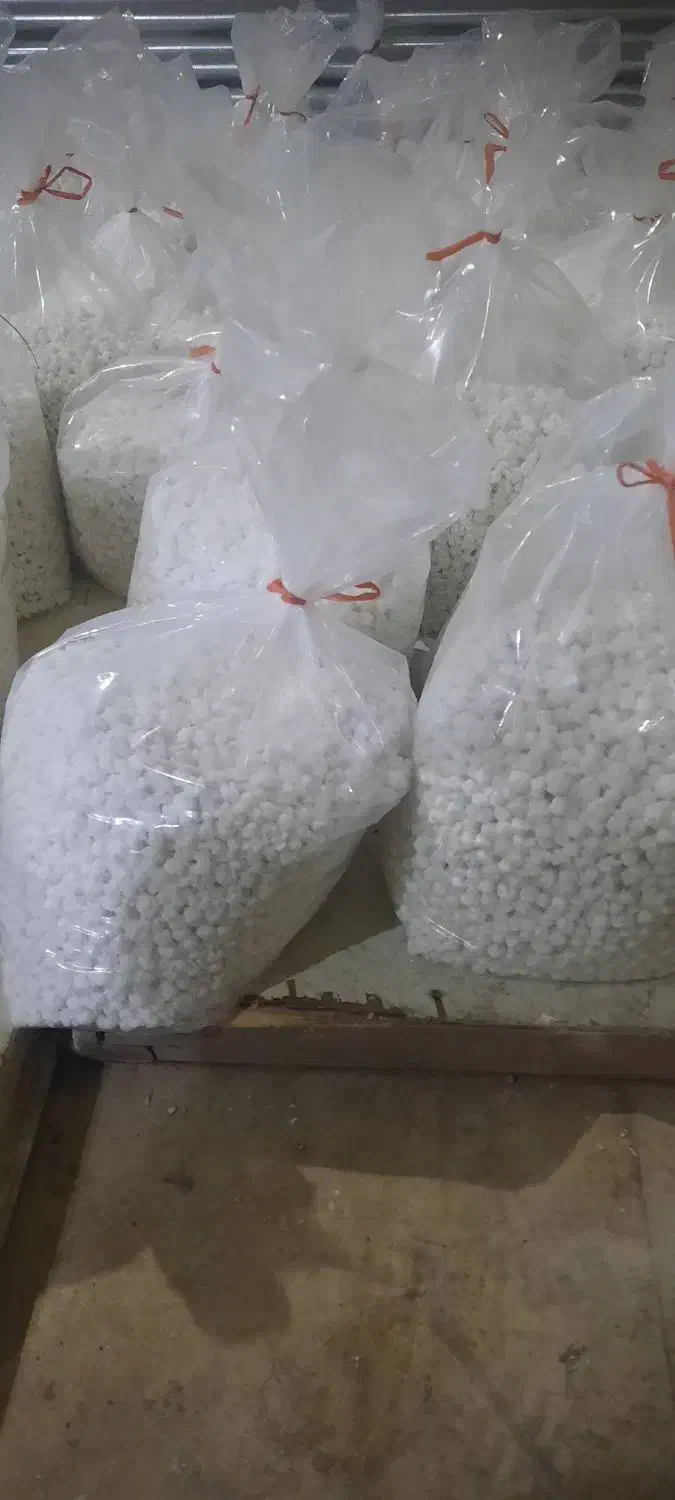 کارگاه نقل و نبات سفید گشنیزی کوهدشت|خوردنی و آشامیدنی|کوهدشت, |دیوار