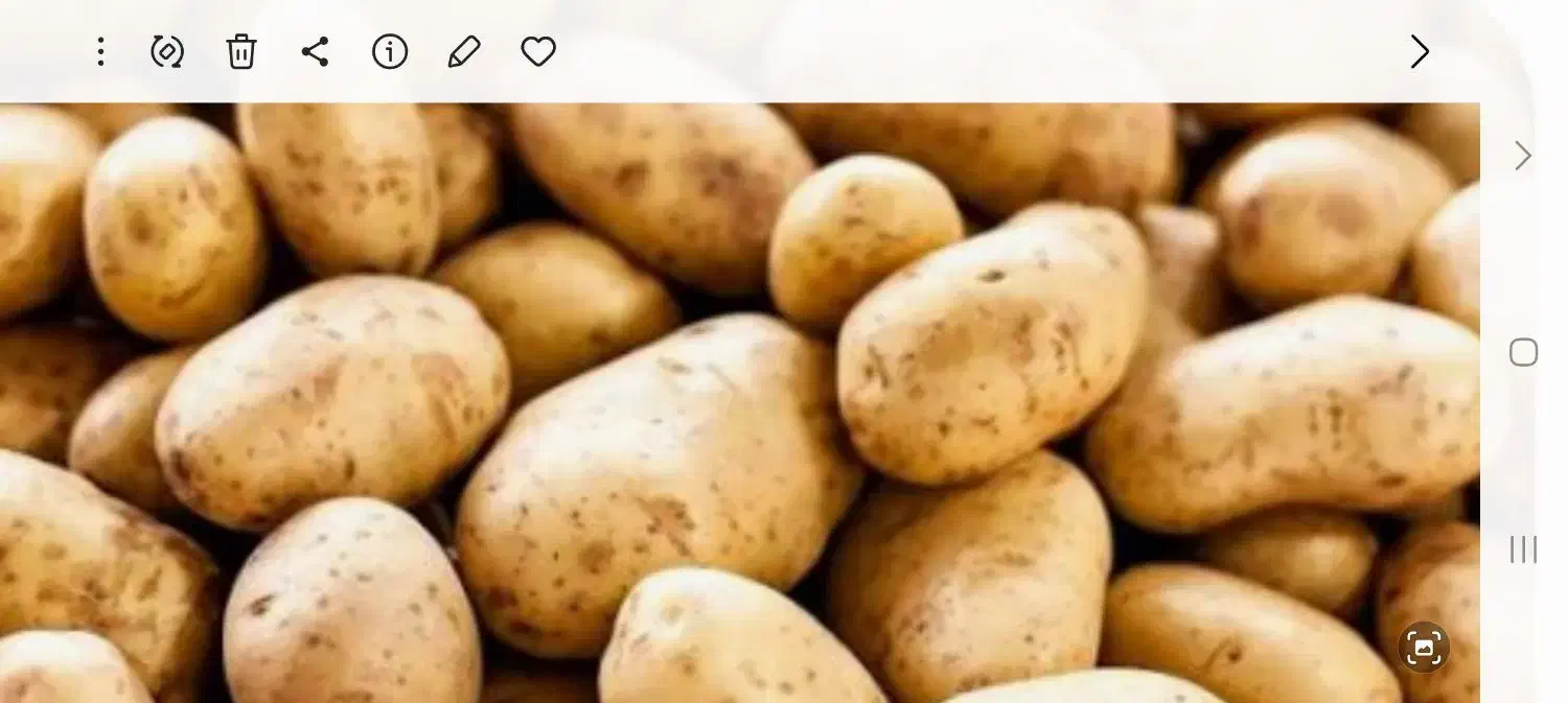 جویای کار در انبار|خدمات پیشه و مهارت|دهگلان, |دیوار