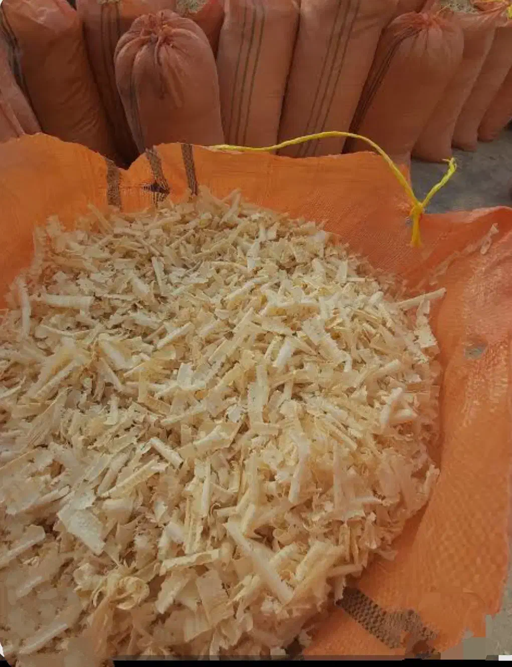 پوشال روسی|مصالح و تجهیزات ساختمان|شیراز, میرزاکوچک خان|دیوار