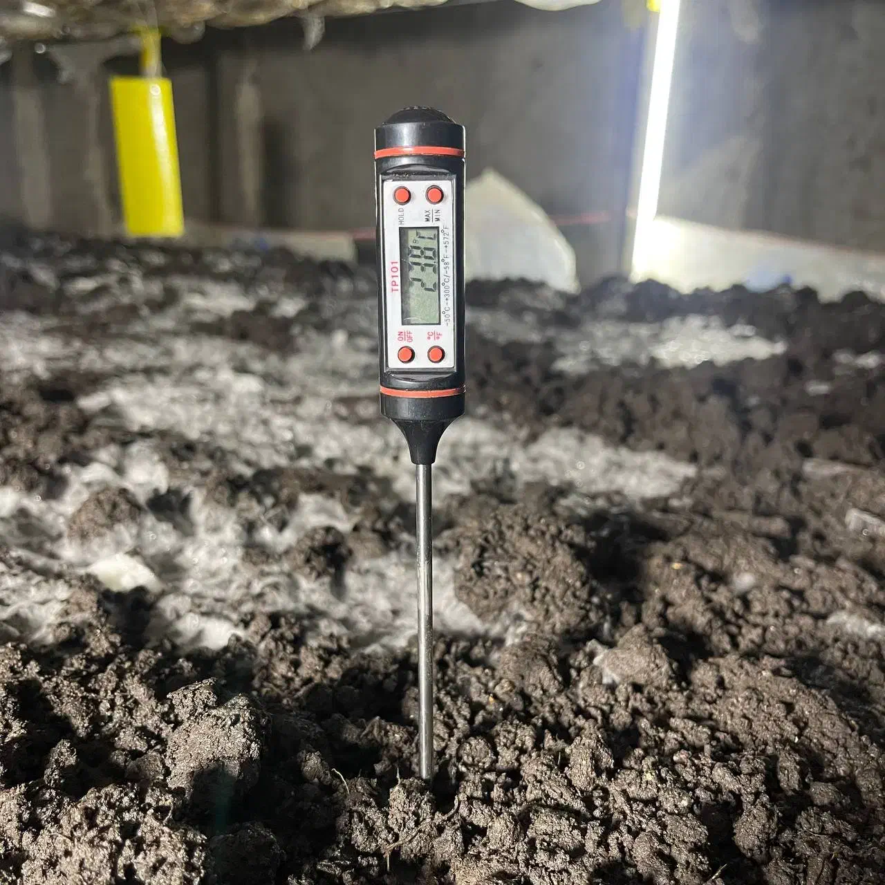 کمپوست مصرف شده|گل و گیاه طبیعی|زاویه, |دیوار