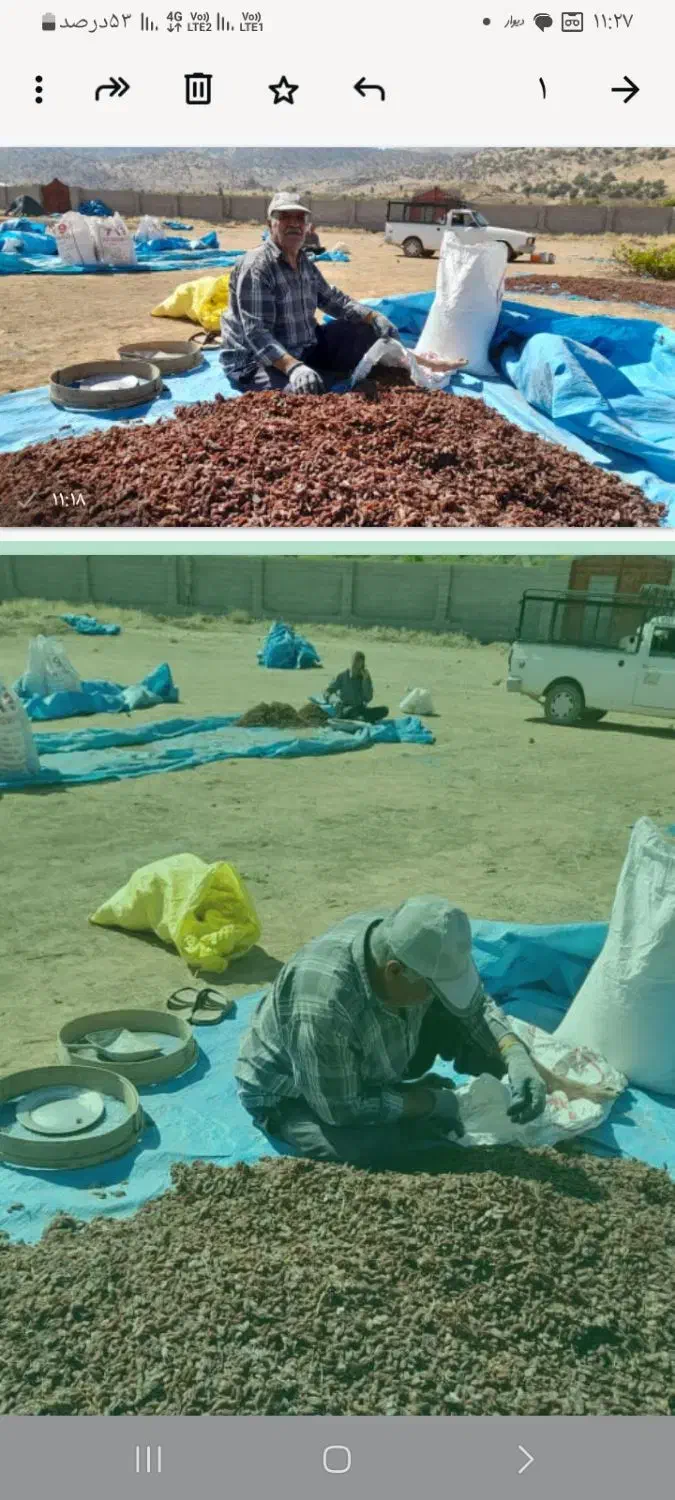 خرید وفروش انواع کشمش ومویز آفتابی شهرک گلستان|عمدهفروشی|شیراز, غدیر شمالی|دیوار