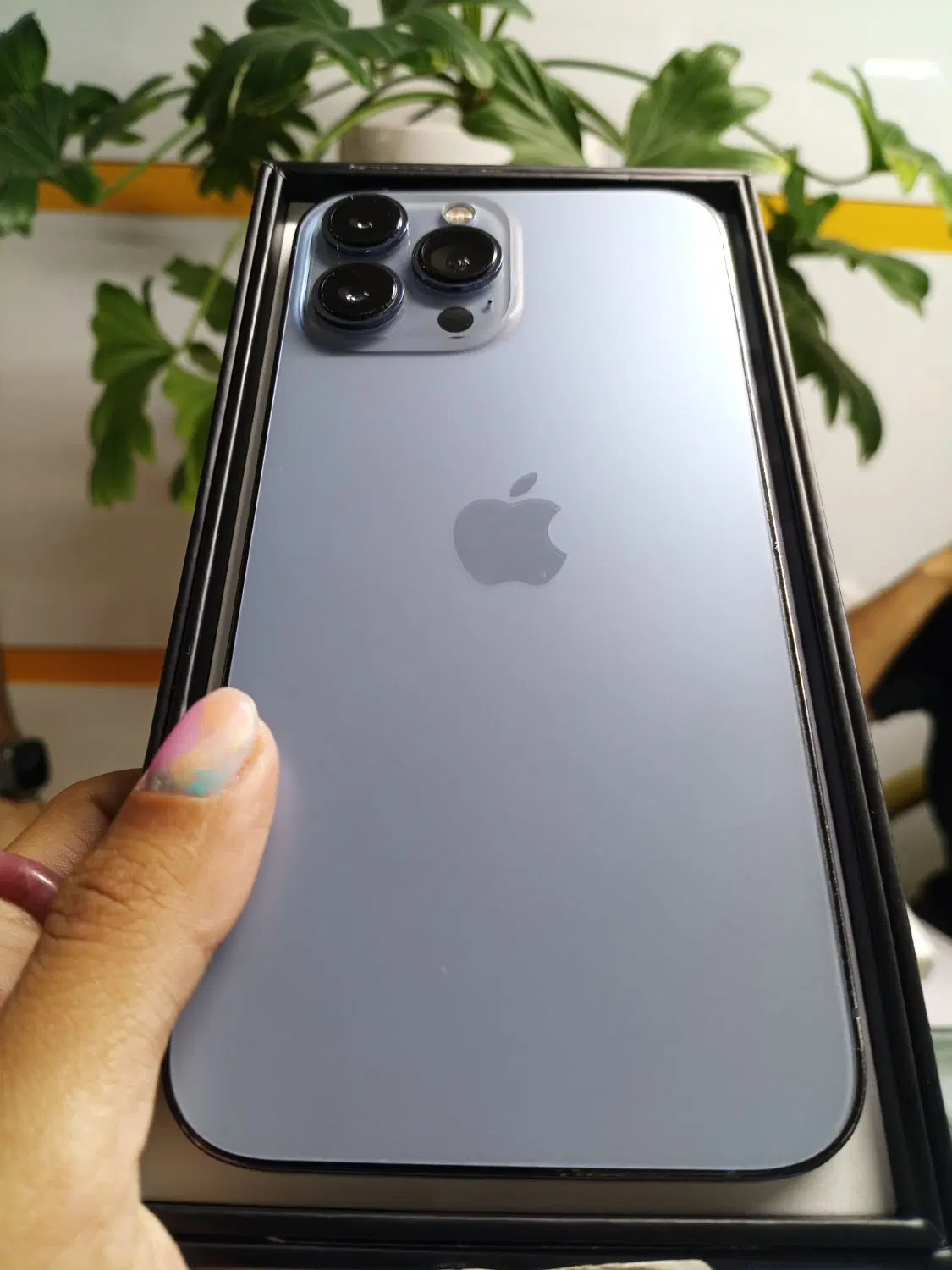 فروش iphone 13 pro max|موبایل|یزد, |دیوار