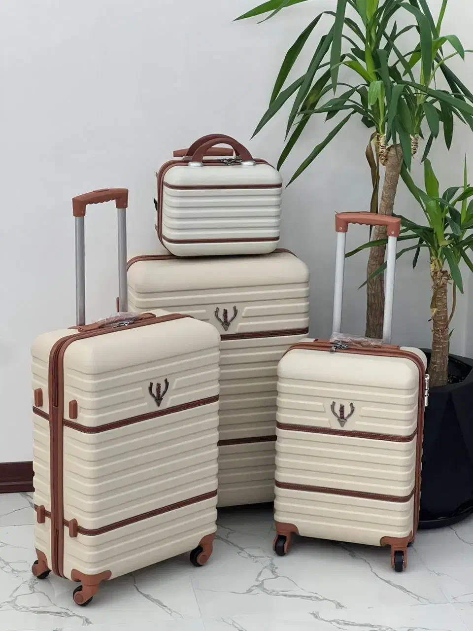 چمدان فایبرگلاس|کیف، کفش، کمربند|بندرعباس, |دیوار