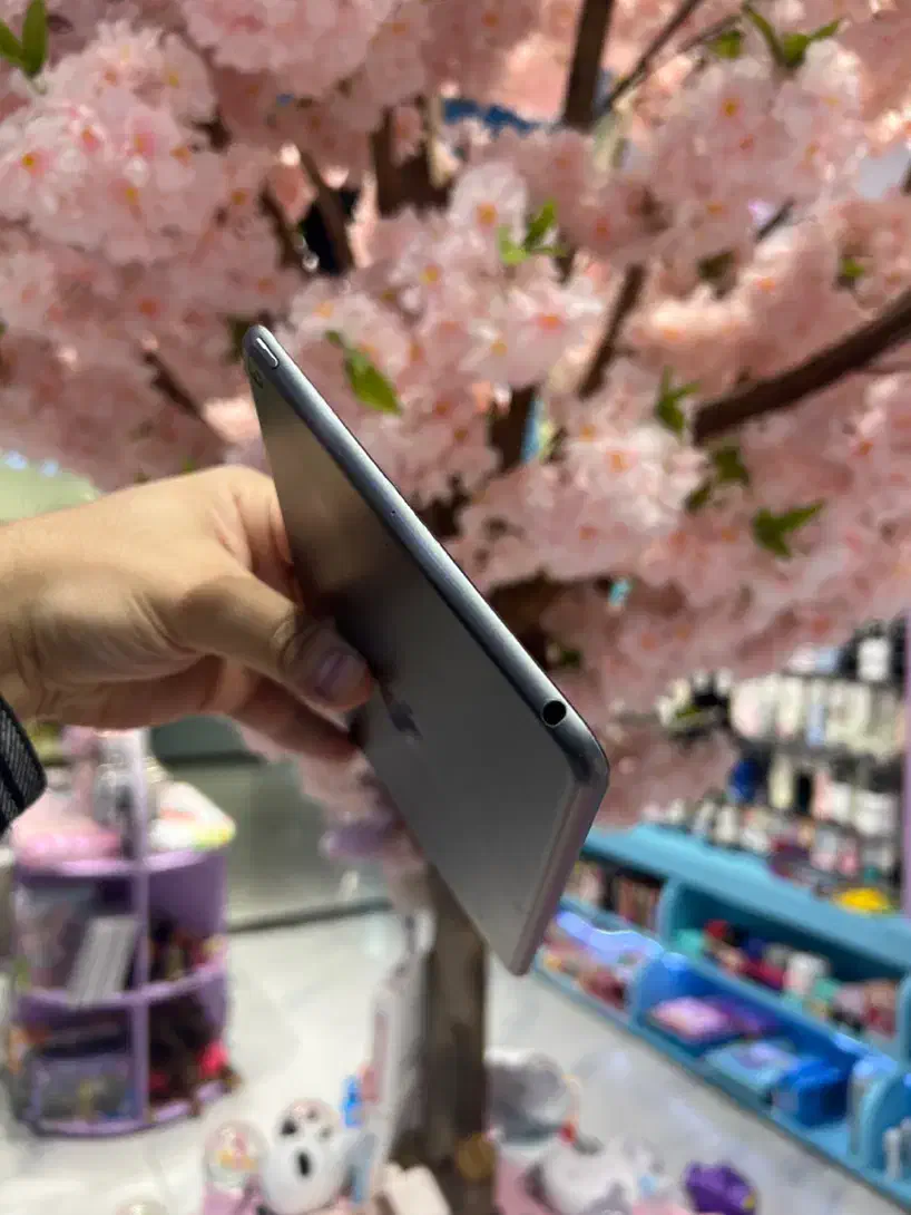 Ipad mini 5|تبلت|تهران, آبشار تهران (دریاچه)|دیوار