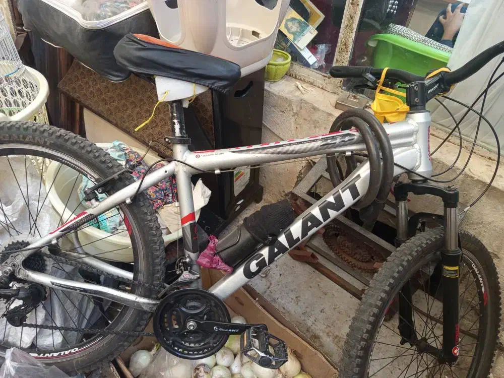 دوچرخه|دوچرخه، اسکیت، اسکوتر|تهران, پرستار|دیوار