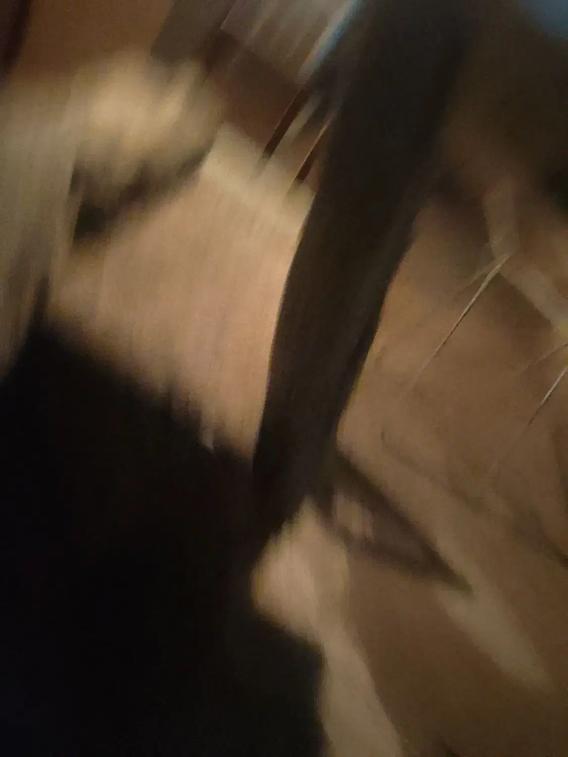 دو تخته فرش ۴متری ویک میز استیل با چهار صندلی|فرش|تهران, صفا|دیوار