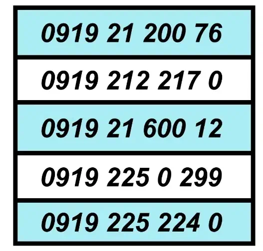 0919.225.224.0|سیمکارت|شهر ری, شهرری|دیوار