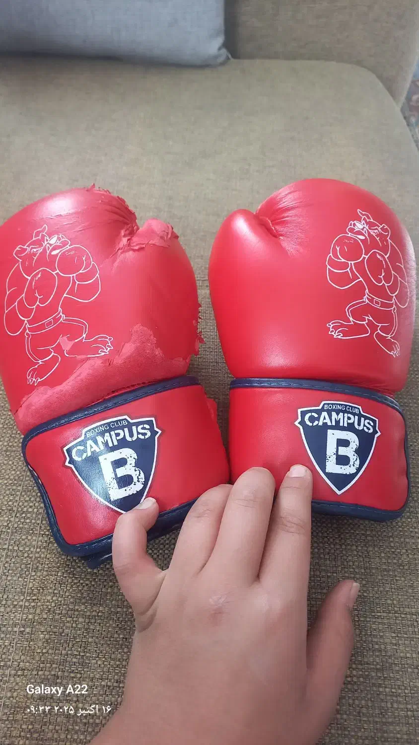 دسکش بوکس|تجهیزات ورزشی|قروه, |دیوار