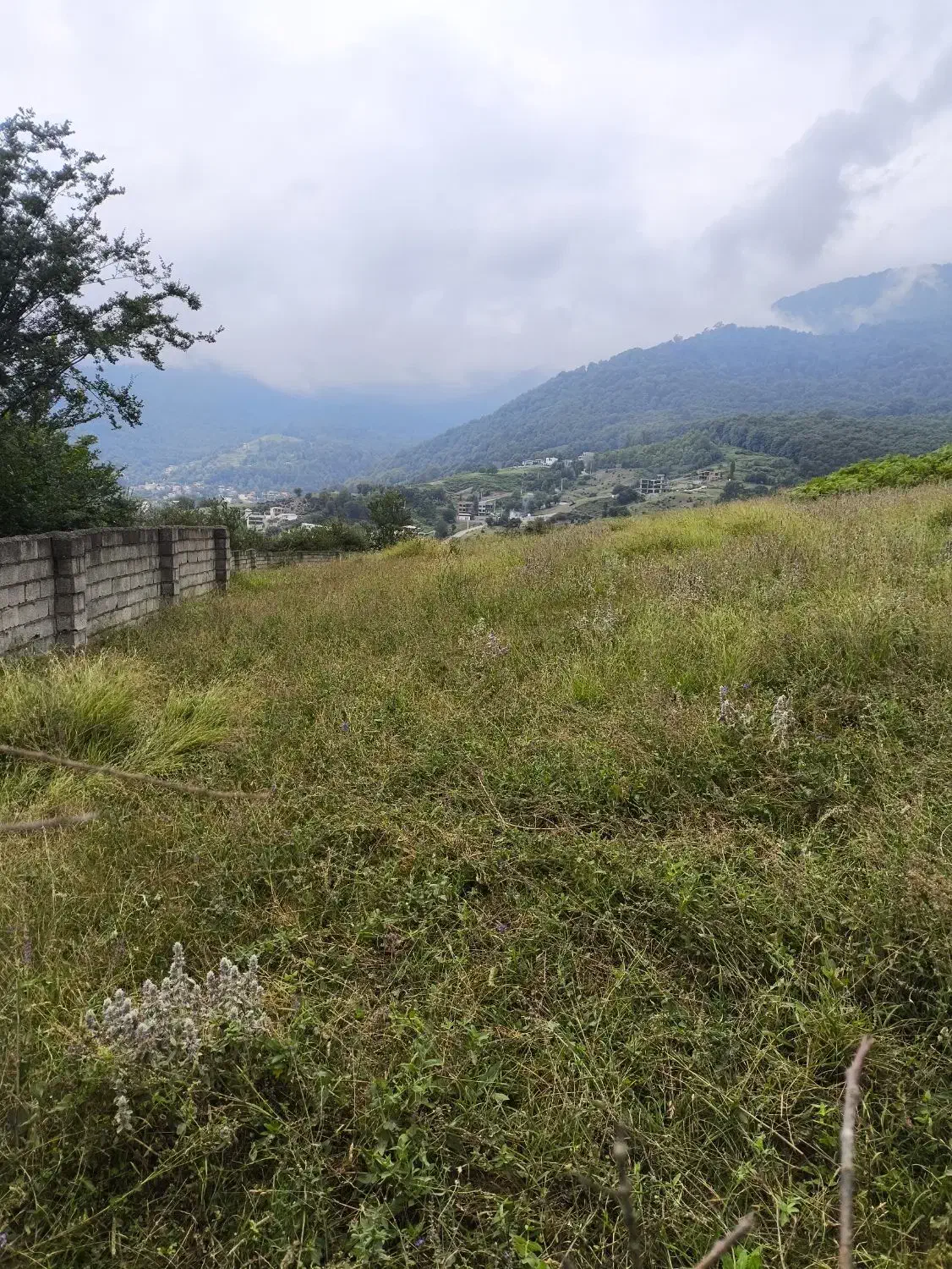 زمین|پیش‌فروش املاک|چمستان, |دیوار