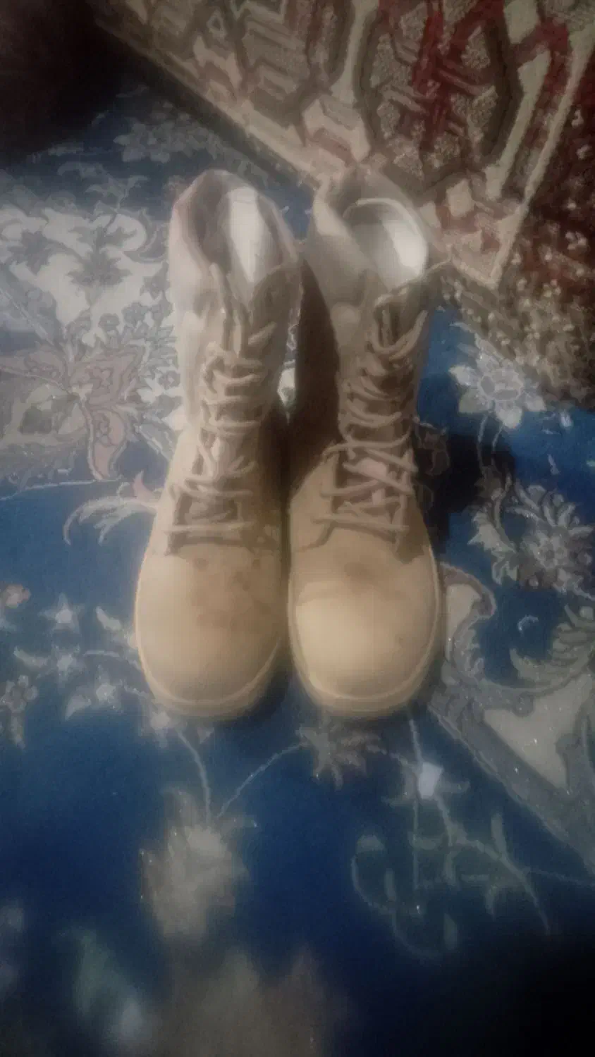 پوتین|کیف، کفش، کمربند|کرباسک, |دیوار