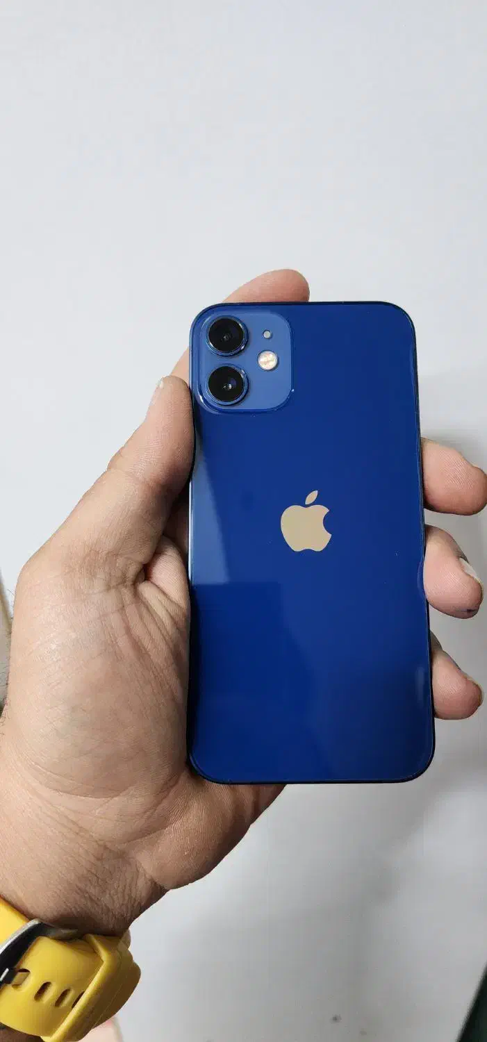 iphone 12 mini|موبایل|اصفهان, باغ گلها|دیوار