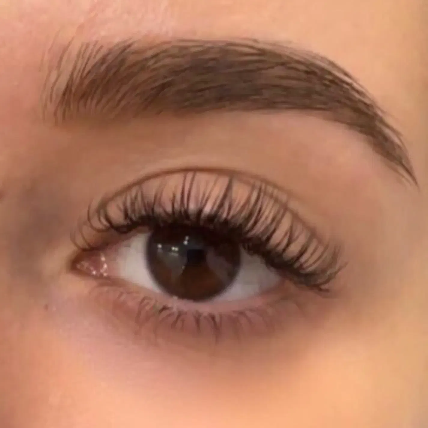 مدل اکستنشن مژه با هزینه مواد|خدمات آرایشگری و زیبایی|رفسنجان, |دیوار