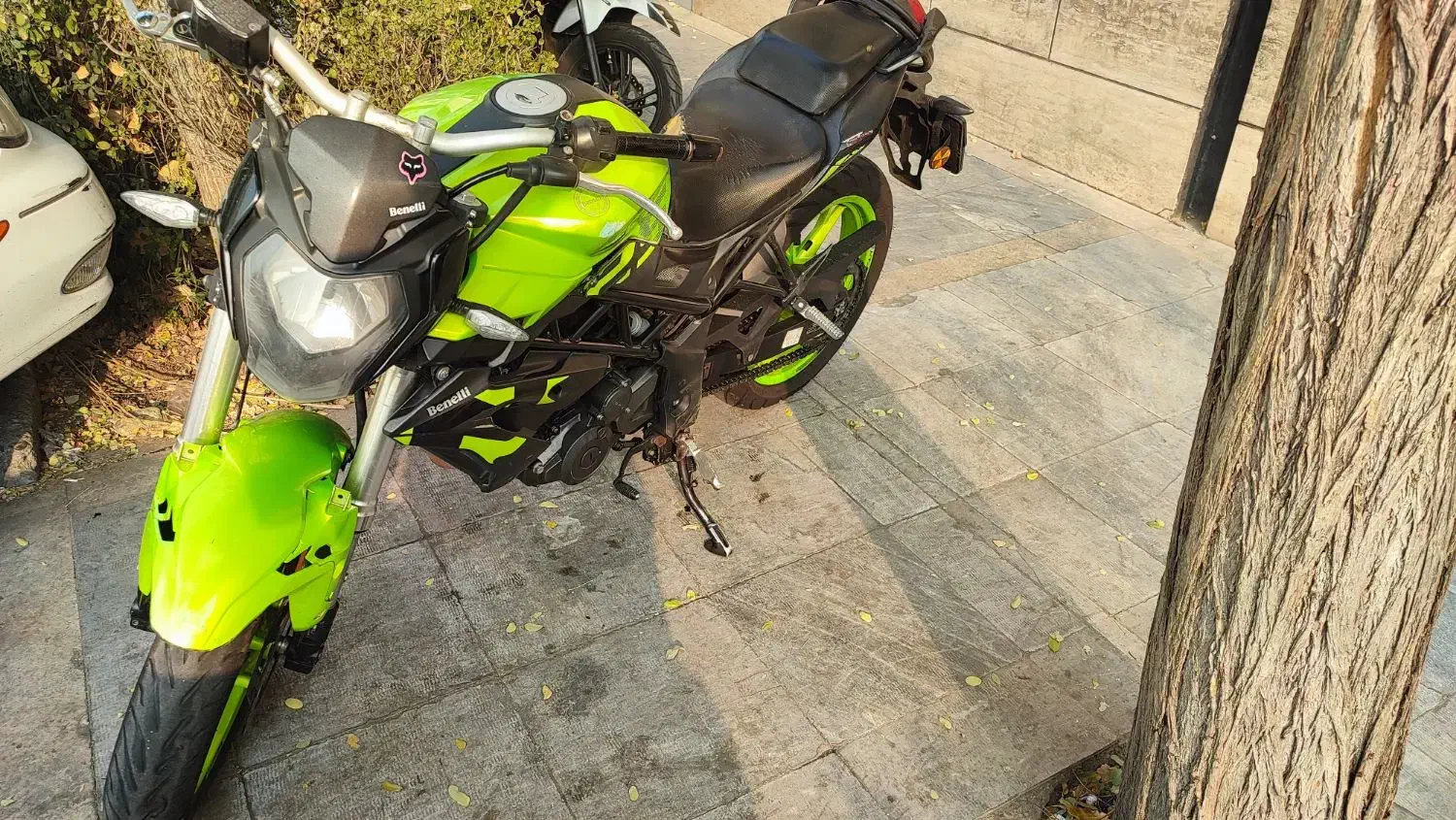 بنلی 250 نیوفیس|موتورسیکلت|تهران, چیذر|دیوار