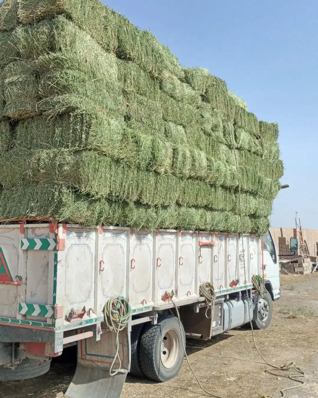 خرید وفروش  نهاده دام|خدمات باغبانی و درختکاری|سبزوار, امیر کبیر|دیوار