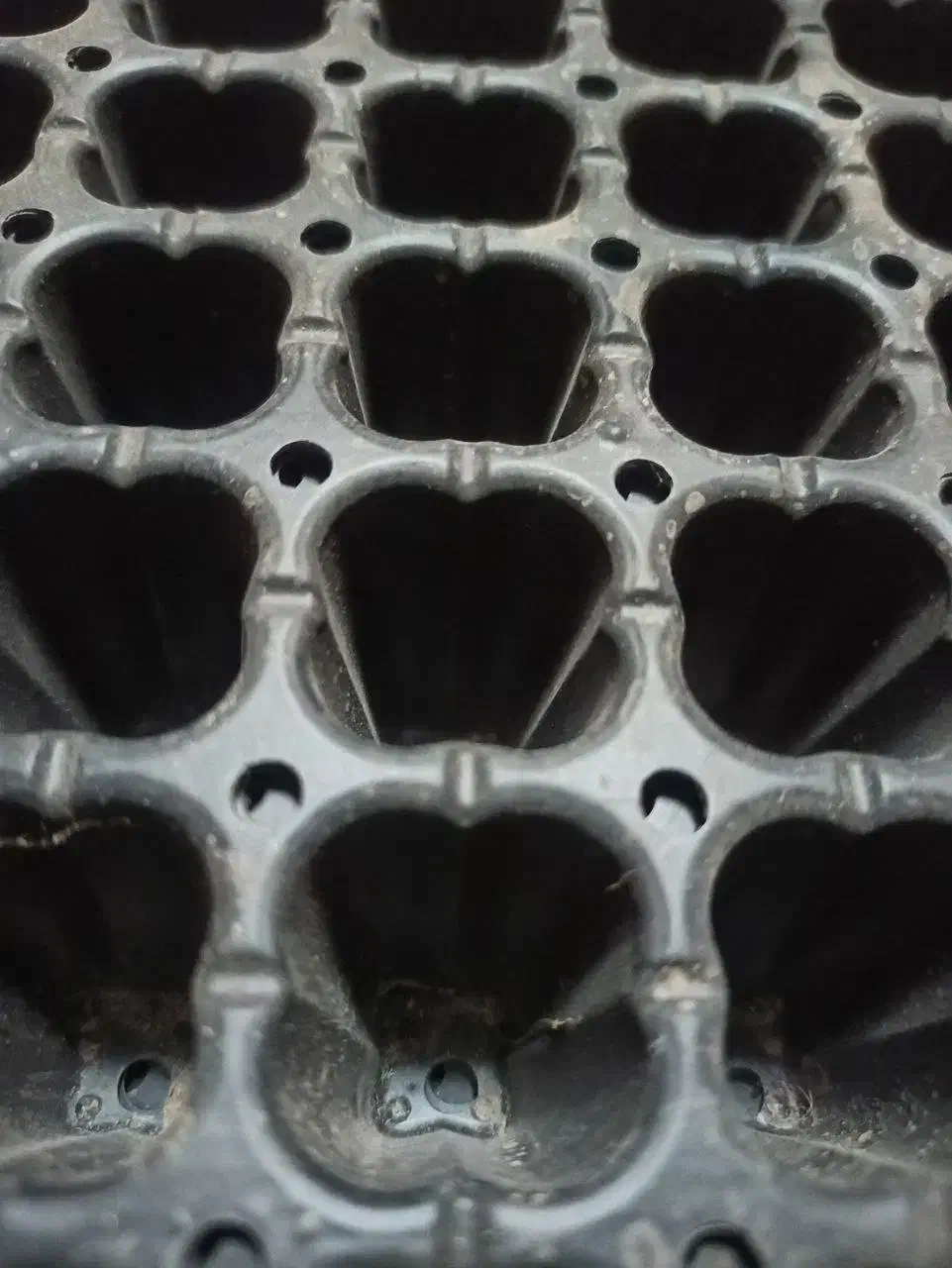 سینی نشا برای بذر|گل مصنوعی|مشهد, کلاکوب|دیوار