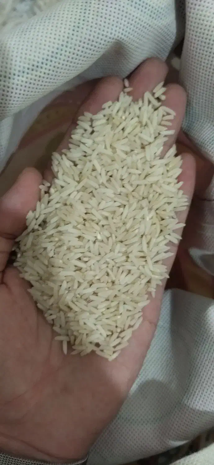 برنج کلات|خوردنی و آشامیدنی|مشهد, آبکوه|دیوار