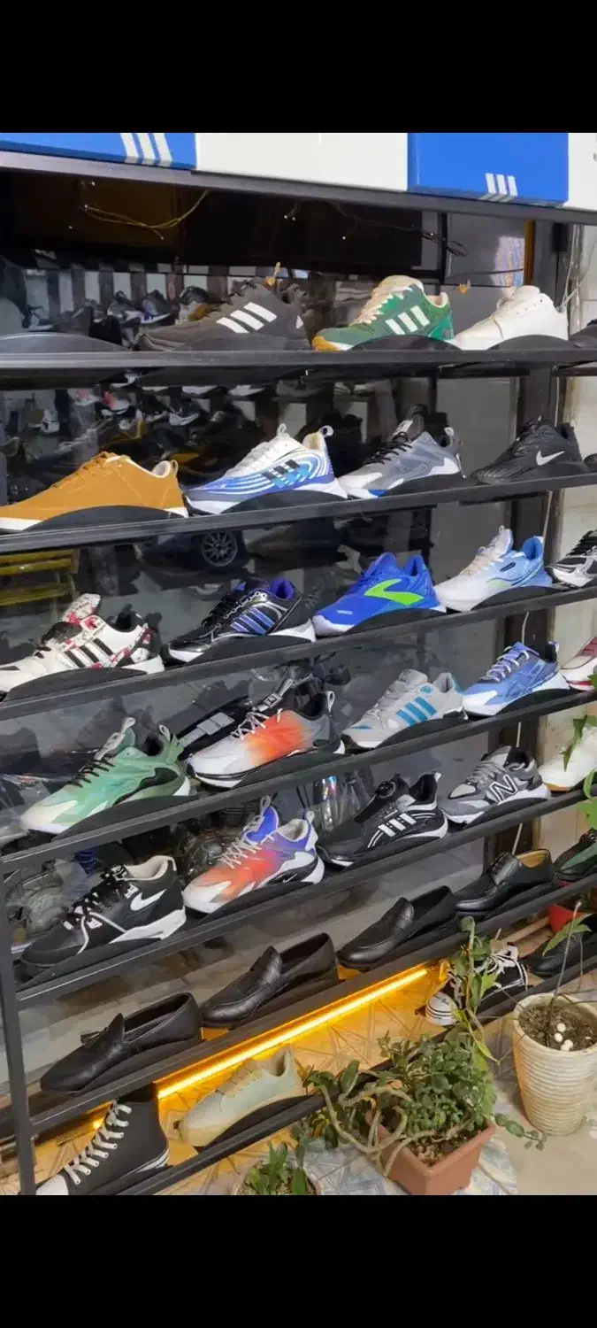 تمامی رگال و ویترین کتونی فروشی کاملا سالم|فروشگاه و مغازه|تاکستان, |دیوار