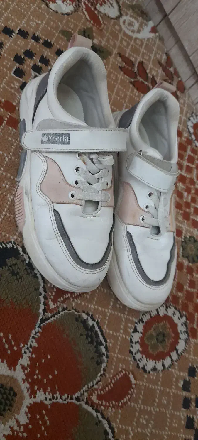 کتانی سایز۳۸|کیف، کفش، کمربند|بجنورد, |دیوار