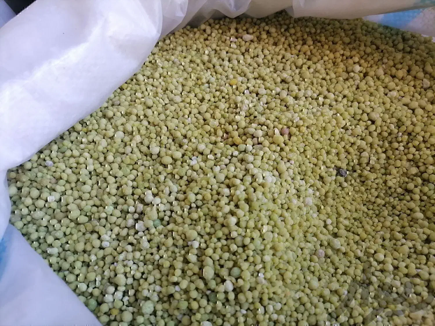 کودی شیمیایی دی آمینیوم فسفات رازی و کود چینی|عمدهفروشی|قیدار, |دیوار