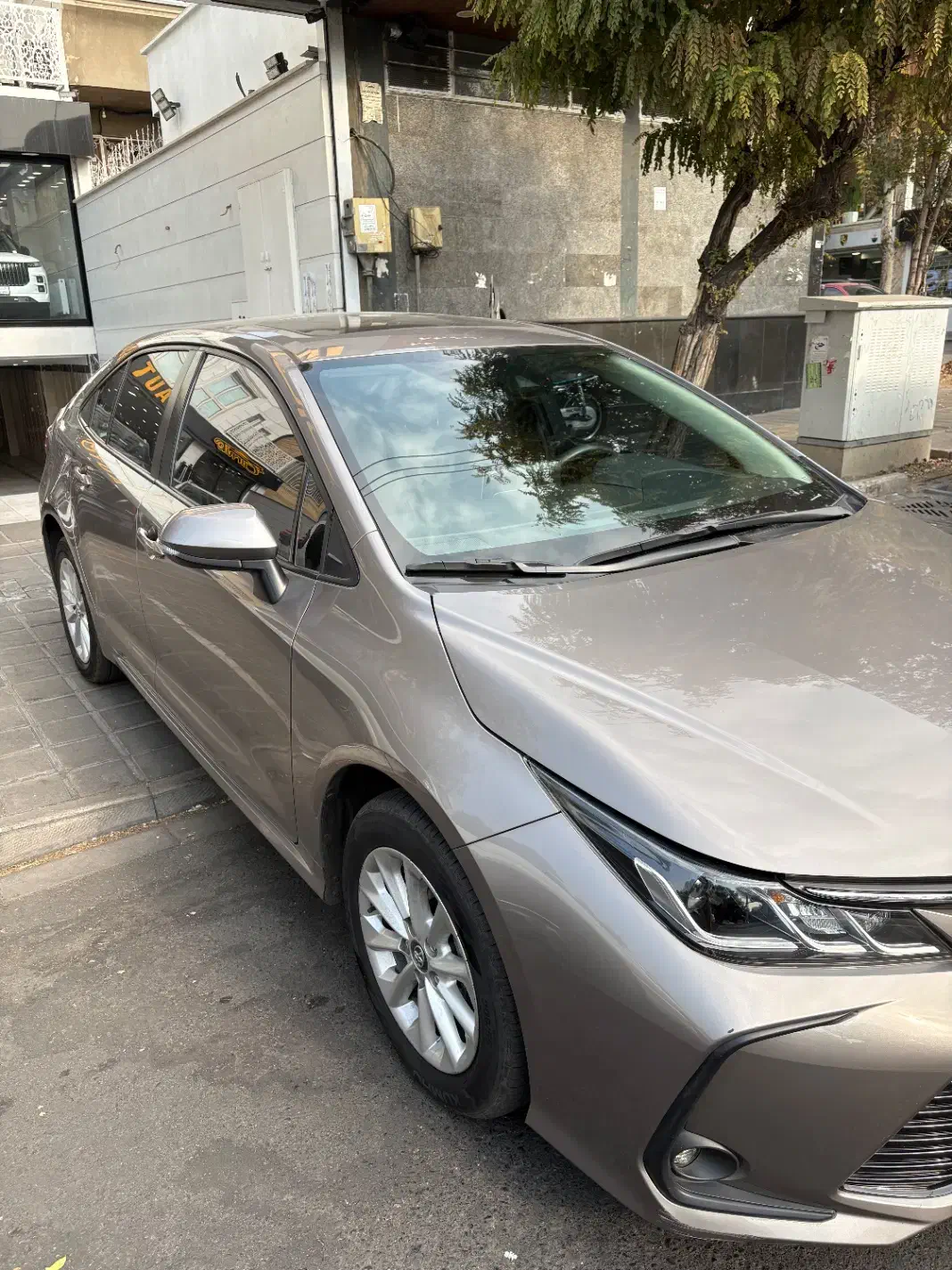 کرولا درجه ۱|خودرو سواری و وانت|تهران, درختی|دیوار