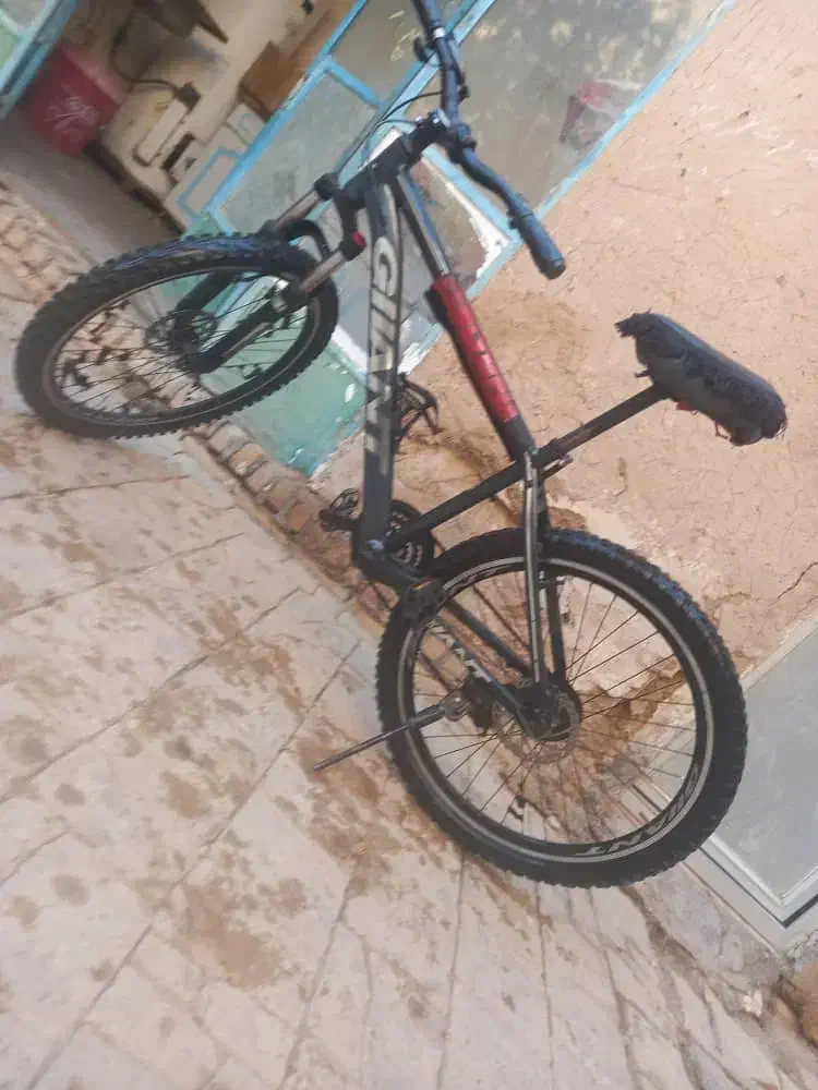 دوچرخه|دوچرخه، اسکیت، اسکوتر|میبد, |دیوار