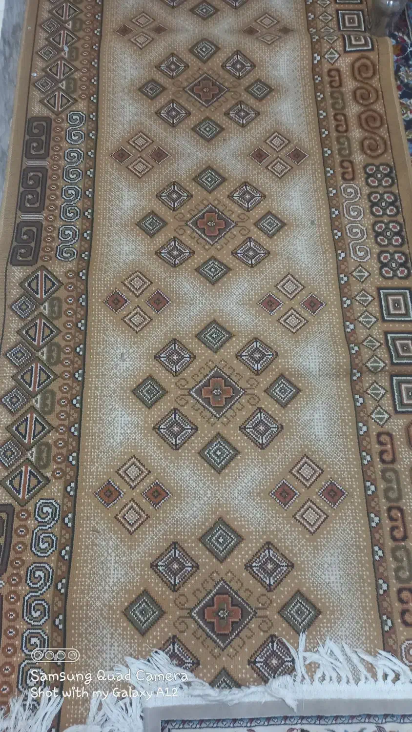 کناره کرمی|فرش|تربتحیدریه, شهرک ولیعصر|دیوار