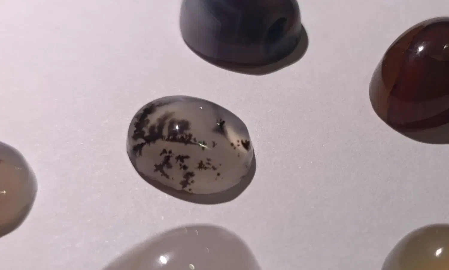 پرنده کفتر نگین|جواهرات|تربتحیدریه, بی بی حسنیه|دیوار