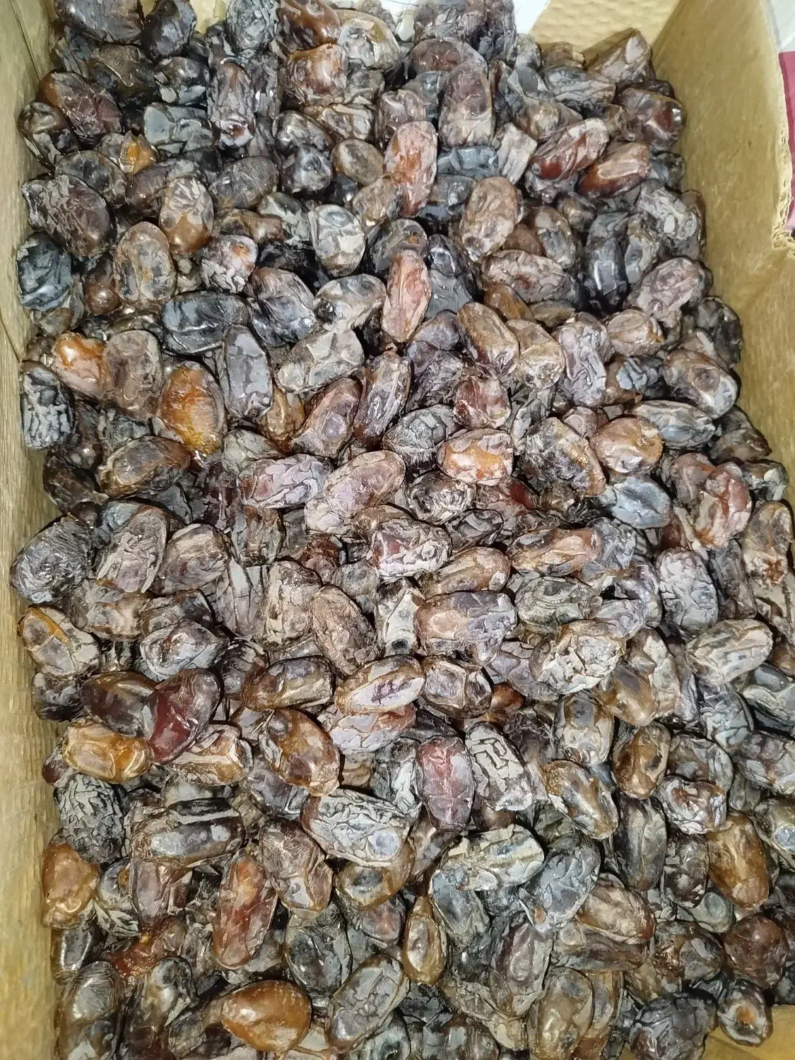 خرما|عمده‌فروشی|سعدآباد, |دیوار